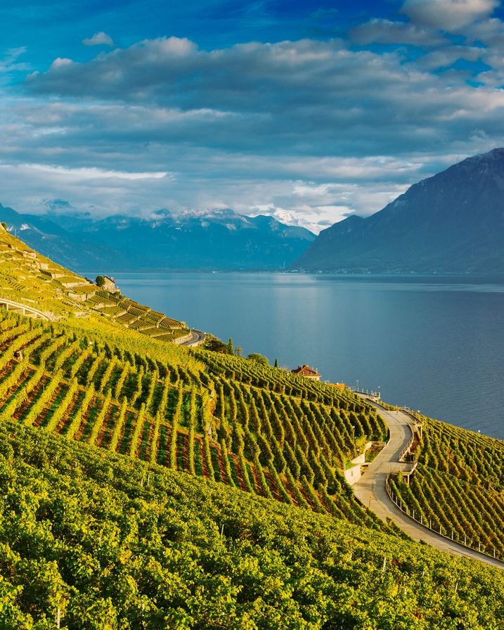 Le Léman et les terrasses de Lavaux, vus depuis Pully