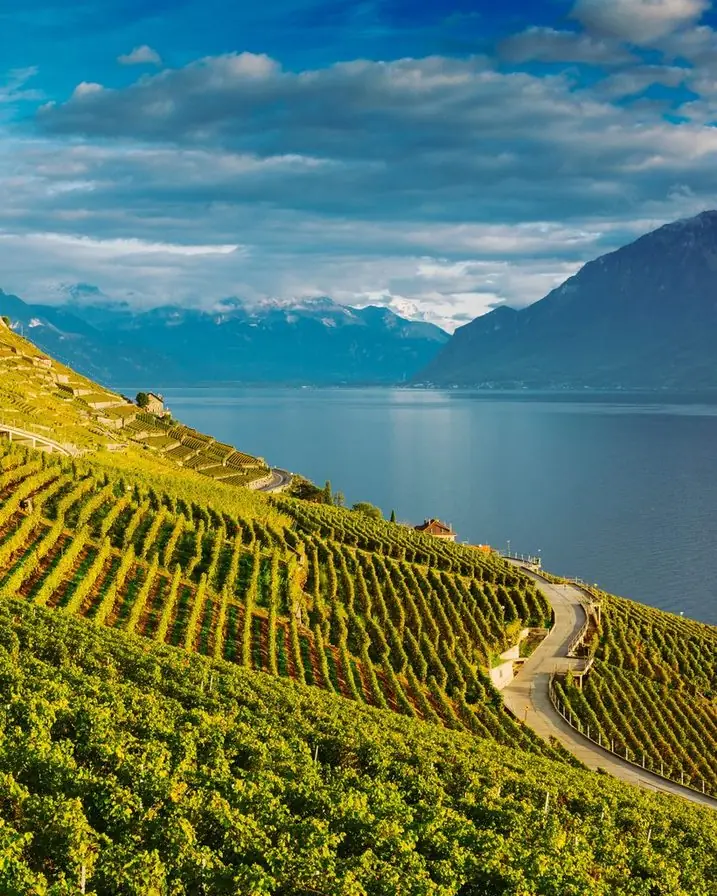 Le Léman et les terrasses de Lavaux, vus depuis Pully